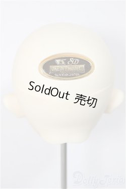 画像4: SD女の子/ F-82 ( ニコ タイプ )　ワンオフ：Rumina様 A-25-10-15-376-NY-ZA