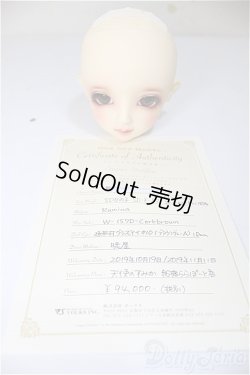 画像6: SD女の子/ F-82 ( ニコ タイプ )　ワンオフ：Rumina様 A-25-10-15-376-NY-ZA