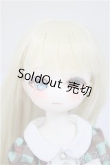 TinyFox/X01ｓカスタムヘッド・旧ボディ A-25-10-15-350-NY-ZA