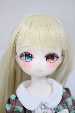 画像1: TinyFox/X01ｓカスタムヘッド・旧ボディ A-25-10-15-350-NY-ZA