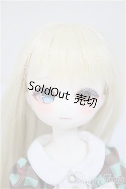 画像1: TinyFox/X01ｓカスタムヘッド・旧ボディ A-25-10-15-350-NY-ZA