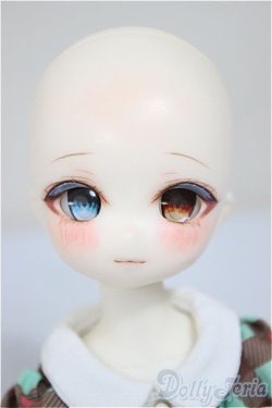 画像2: TinyFox/X01ｓカスタムヘッド・旧ボディ A-25-10-15-350-NY-ZA