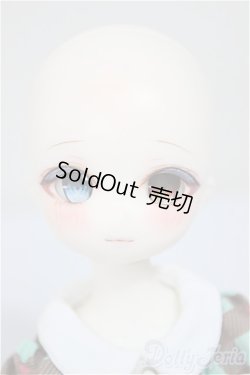 画像2: TinyFox/X01ｓカスタムヘッド・旧ボディ A-25-10-15-350-NY-ZA