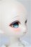 画像3: TinyFox/X01ｓカスタムヘッド・旧ボディ A-25-10-15-350-NY-ZA