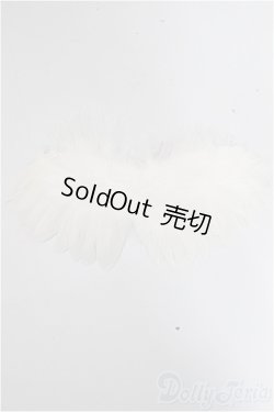 画像1: SDM＆MSD/OF:小物 A-25-10-15-261-NY-ZA