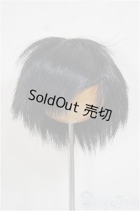 6-7inch/ウィッグ A-25-10-15-256-NY-ZA