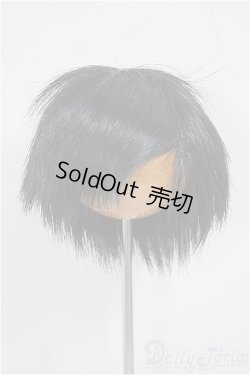 画像1: 6-7inch/ウィッグ A-25-10-15-256-NY-ZA