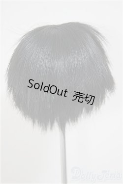 画像2: 6-7inch/ウィッグ A-25-10-15-256-NY-ZA