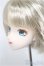 画像4: DD/植毛ヘッド A-25-10-15-221-NY-ZA (4)