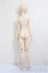 画像5: DDS/カリン/BJD　球体関節人形 A-25-10-22-121-NY-ZA