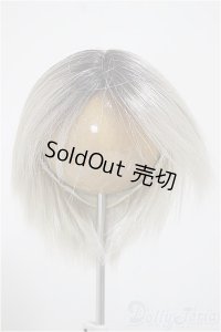 9-10inch/ウィッグ/インチ　BJD　MJD　ドール用 A-25-10-22-151-NY-ZA