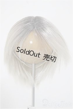 画像1: 9-10inch/ウィッグ/インチ　BJD　MJD　ドール用 A-25-10-22-151-NY-ZA