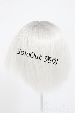 画像2: 9-10inch/ウィッグ/インチ　BJD　MJD　ドール用 A-25-10-22-151-NY-ZA