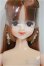 画像6: リカちゃんキャッスル/ユリーシア/BJD　球体関節人形 A-25-10-22-340-NY-ZA