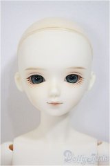BLUE FAIRY/TF Emilie　男の子/BJD　球体関節人形 A-25-10-29-102-NY-ZA