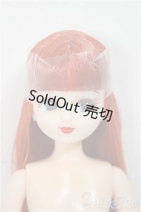 リカちゃんキャッスル/リカちゃん/BJD　球体関節人形 A-25-10-29-307-NY-ZA