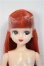 画像1: リカちゃんキャッスル/リカちゃん/BJD　球体関節人形 A-25-10-29-307-NY-ZA (1)