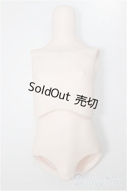 画像1: MDDサイズ/上半身・下半身ディーラー様製/BJD　球体関節人形 A-25-11-05-111-NY-ZA