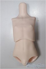 MDDサイズ/上半身・下半身ディーラー様製/BJD　球体関節人形 A-25-11-05-110-NY-ZA