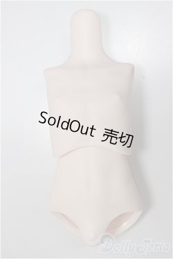 画像1: MDDサイズ/上半身・下半身ディーラー様製/BJD　球体関節人形 A-25-11-05-110-NY-ZA