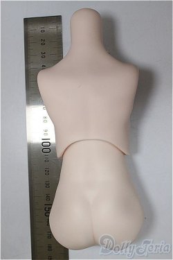 画像2: MDDサイズ/上半身・下半身ディーラー様製/BJD　球体関節人形 A-25-11-05-110-NY-ZA