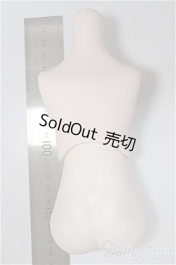 画像2: MDDサイズ/上半身・下半身ディーラー様製/BJD　球体関節人形 A-25-11-05-110-NY-ZA