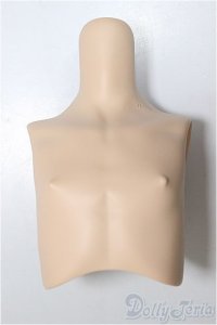 MDDサイズ/上半身パーツ/BJD　球体関節人形 A-25-11-05-119-NY-ZA