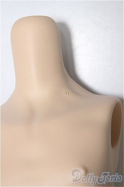 画像3: MDDサイズ/上半身パーツ/BJD　球体関節人形 A-25-11-05-119-NY-ZA