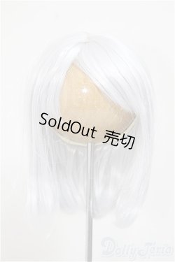 画像1: 8-9inch/ウィッグ/インチ　BJD　MJD　ドール用 A-25-11-05-181-NY-ZA