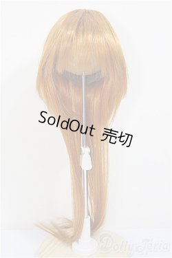 画像1: 8-9inch/ウィッグ/インチ　BJD　MJD　ドール用 A-25-11-05-177-NY-ZA