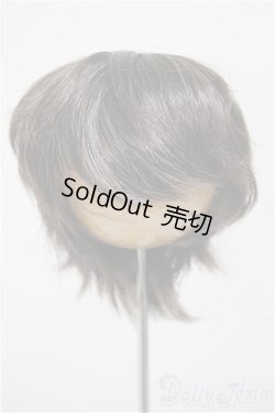 画像1: 8-9inch/ウィッグ/インチ　BJD　MJD　ドール用 A-25-11-05-185-NY-ZA