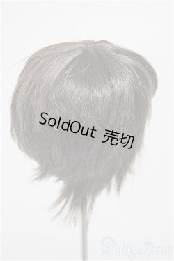 画像2: 8-9inch/ウィッグ/インチ　BJD　MJD　ドール用 A-25-11-05-185-NY-ZA