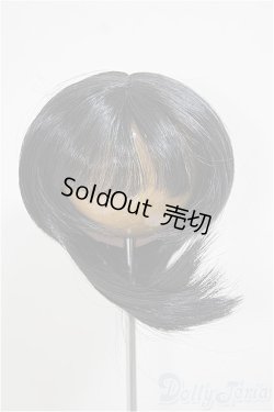 画像1: 8.5-9inch/ウィッグ/インチ　BJD　MJD　ドール用 A-25-11-05-186-NY-ZA