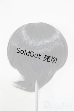 画像2: 8.5-9inch/ウィッグ/インチ　BJD　MJD　ドール用 A-25-11-05-186-NY-ZA