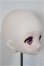 画像2: DD/DDH-22 カスタムヘッド/BJD　球体関節人形 A-25-11-05-117-NY-ZA (2)