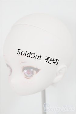 画像3: DD/DDH-28 カスタムヘッド/BJD　球体関節人形 A-25-11-05-115-NY-ZA