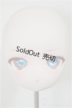 画像1: DD/DDH-28 カスタムヘッド/BJD　球体関節人形 A-25-11-05-116-NY-ZA