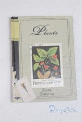 SD/豆本/0 A-25-11-12-079-NY-ZA