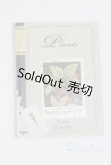 SD/豆本/0 A-25-11-12-079-NY-ZA
