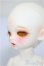 画像3: ChicaBi/Sweet Bora/BJD　球体関節人形 A-25-10-29-312-NY-ZA (3)