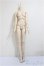 画像1: DD/ベースボディII/BJD　球体関節人形 A-25-11-05-226-NY-ZA (1)