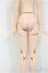 画像3: azone/ピュアニーモフレクションボディ：L女の子/0 A-25-11-05-229-NY-ZA (3)