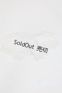 画像1: SDM/OF:羽/1/4　40ｃｍ　BJD　MJD　衣装　ドール用 A-25-11-05-100-NY-ZA