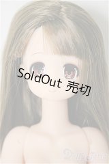 COLORFULL /葉山あかり / A-25-10-29-386-NY-ZA