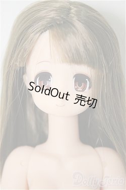 画像1: COLORFULL /葉山あかり / A-25-10-29-386-NY-ZA