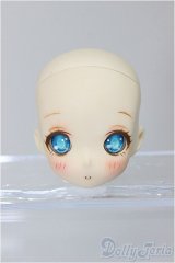 1/6サイズヘッド/ A-25-10-29-390-NY-ZA