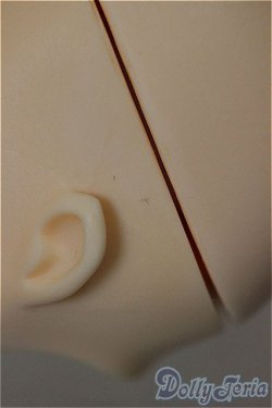 画像5: 1/6サイズヘッド/ A-25-10-29-390-NY-ZA