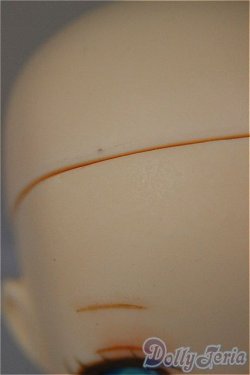 画像6: 1/6サイズヘッド/ A-25-10-29-390-NY-ZA