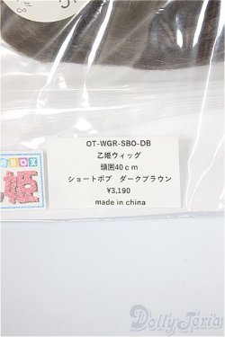 画像2: 乙姫サイズ/ウィッグ/インチ　BJD　MJD　ドール用 A-25-11-05-198-NY-ZA