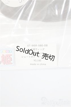 画像2: 乙姫サイズ/ウィッグ/インチ　BJD　MJD　ドール用 A-25-11-05-198-NY-ZA